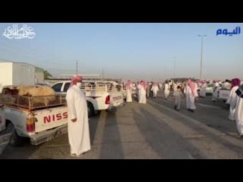 سوق الأغنام بحفر الباطن .. أسعار منخفضة وإقبال ضعيف