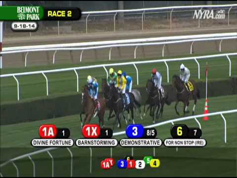 Demonstrative - 2014 Lonesome Glory S. (G1)