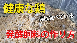 健康な鶏は皆食べている！養鶏家が伝える体喜ぶ発酵飼料の作り方【自然卵養鶏法】