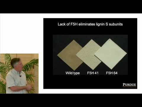 Clint Chapple | Lignin management | GCEP Symposium 2014