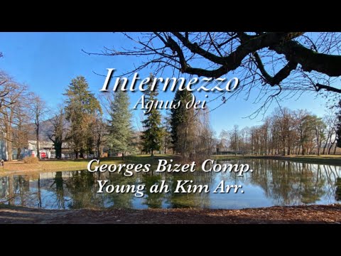 첼로와 하프를 위한 인터메죠 Intermezzo for Cello & Harp