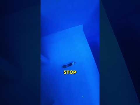 Crazy Deep Diving Pool 😨