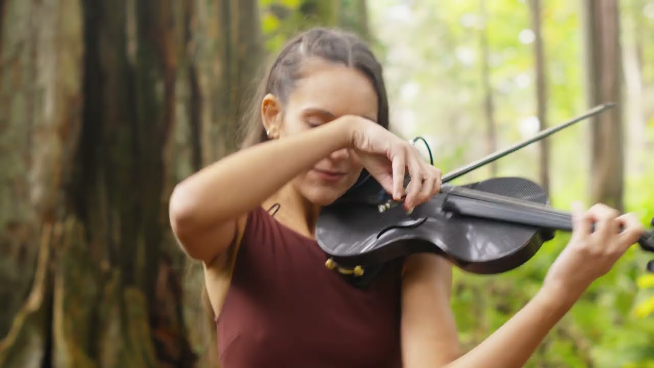 Promotional video thumbnail 5 for Elegant classical, electronic violinist