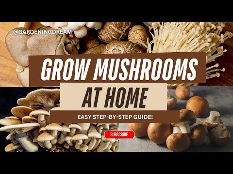 The Ultimate Mushroom Cultivation Guide: How to Grow Mushrooms at Home