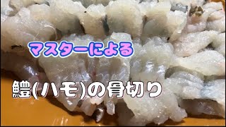 鱧(はも)の骨切り#shorts