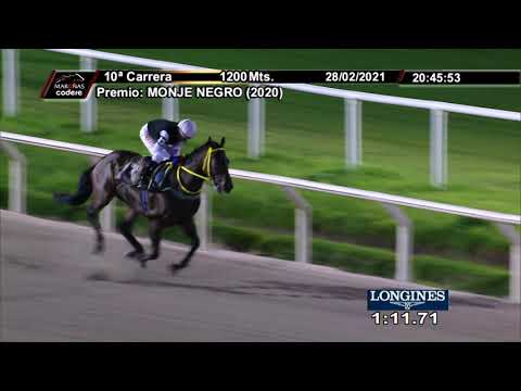 210228 c10 MR. BUCANERO