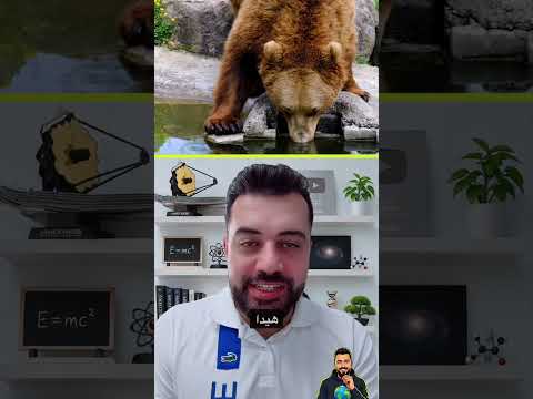 إذا نظر إليك هذا الدب... لا تركض! 😳🐻