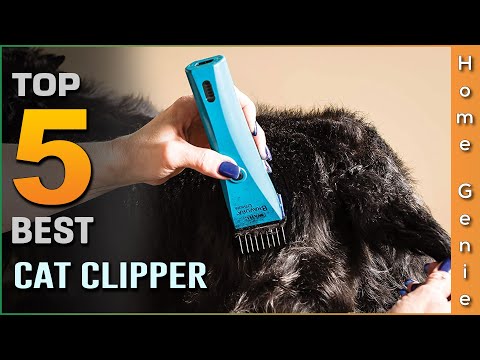 Top 5 Best Cat Clippers Review in 2022 - Make Your Selection