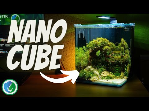 Erschaffe ein Aquarien-Paradies in nur 5 Schritten! - Nano Cube von Dennerle einrichten