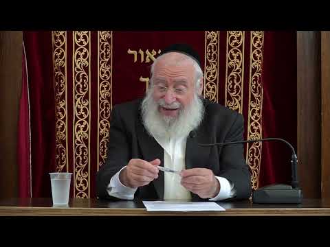 Eating Before Tekias Shofar | Weekly Shiur by Rav Asher Weiss Shlit"a (5785)