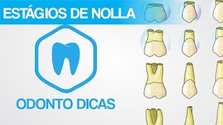 ESTÁGIOS DE NOLLA - VÍDEO EXTRA EM COMEMORAÇÃO AOS PRIMEIROS 100 INSCRITOS | ODONTO DICAS