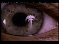 Queensryche   Promised Land Album Release TV Commercial