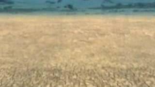 Chevelle - Blank Earth --- Legend of Dragoon