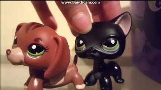 Download lagu lps: diamond team for skyheart219 aj mp3 Download lagu lps: diamond team for skyheart219 aj mp3