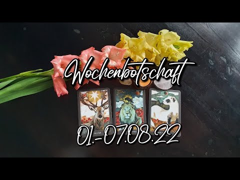 Wochenbotschaft | Der Zukunft nicht mehr im Wege stehen | Befreiung von Blockaden