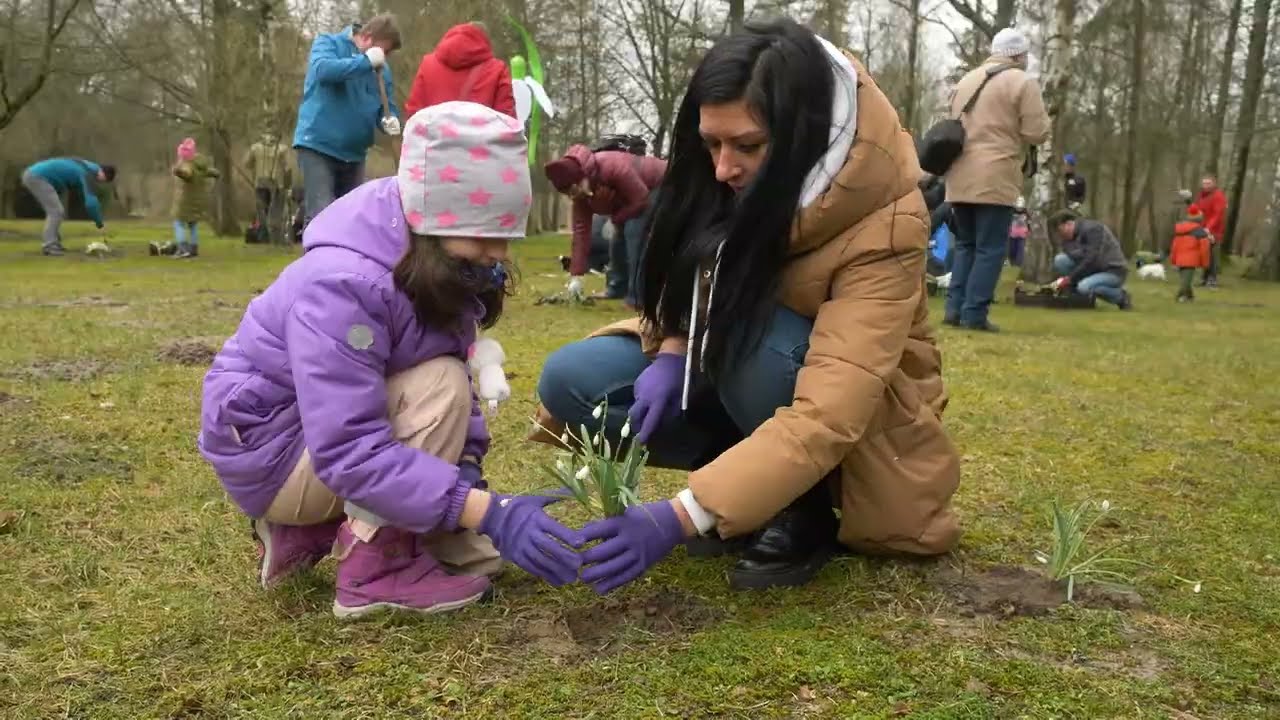 Sniegpulkstenīšu stādīšanas talka 2023