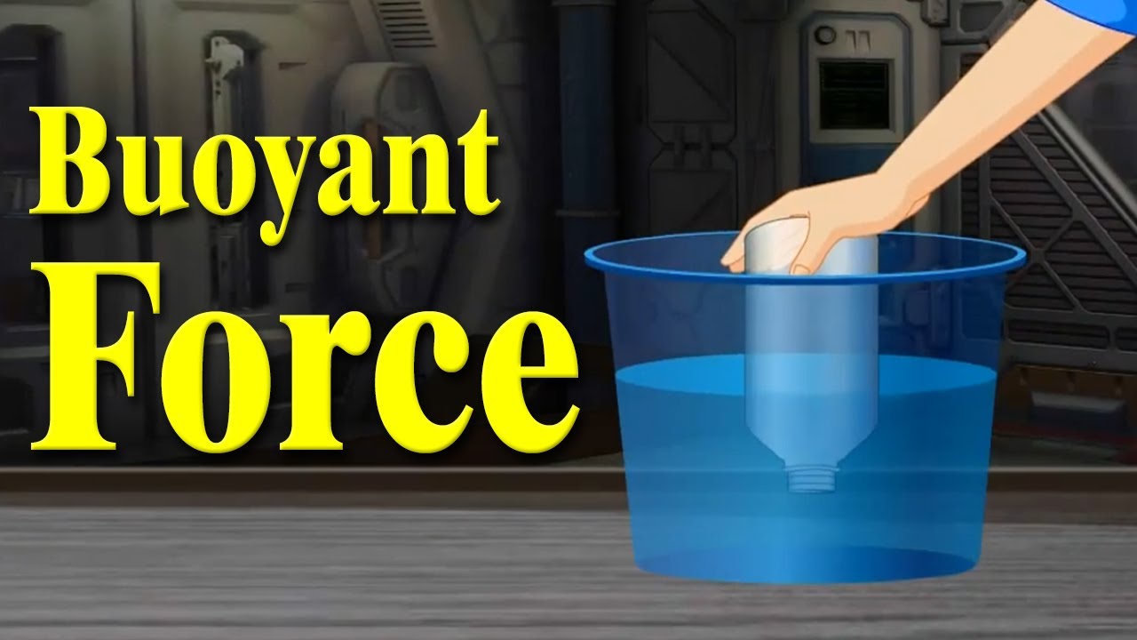 Physics | What is Buoyancy? | Buoyant force | Home Revise