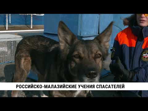 Российско-малазийские учения спасателей