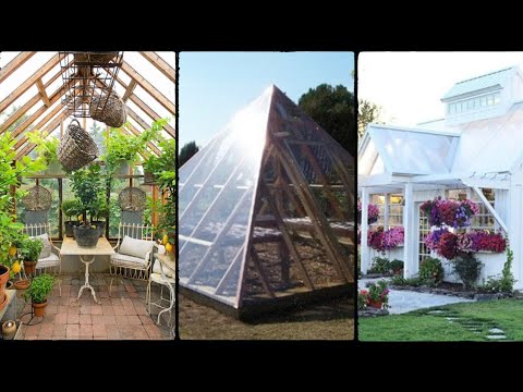 Latest greenhouse home decor ideas 2023 l unique inspiring outdoor garden design.
