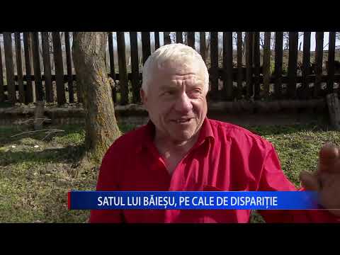 SATUL LUI BĂIEȘU, PE CALE DE DISPARIȚIE