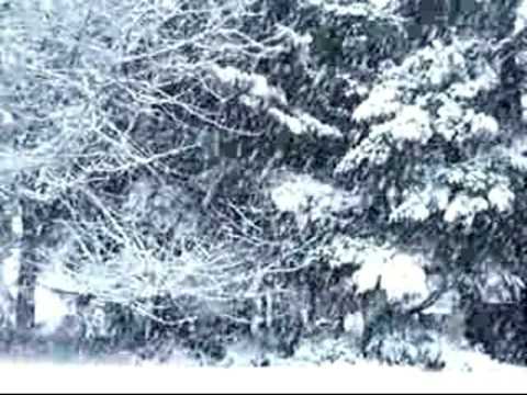 Bolivia: Nevando Está (Fox Trot)