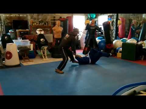 Same Aikido throw found in Judo pt 1