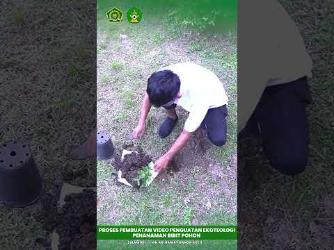 Aksi Tanam Pohon Tengkawang Kalbar