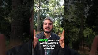 Cães Livres de Vermes  Soluções Naturais e Blindagem em Casa!