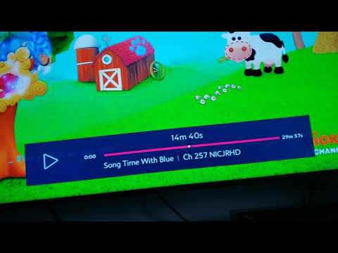 Sound Ideas, COW - SINGLE MOO, ANIMAL 02 compilation in Blue's Clues & You