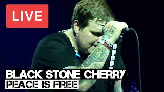 Black Stone Cherry - Peace is Free Live in [HD] @ Wembley Arena, London 2011