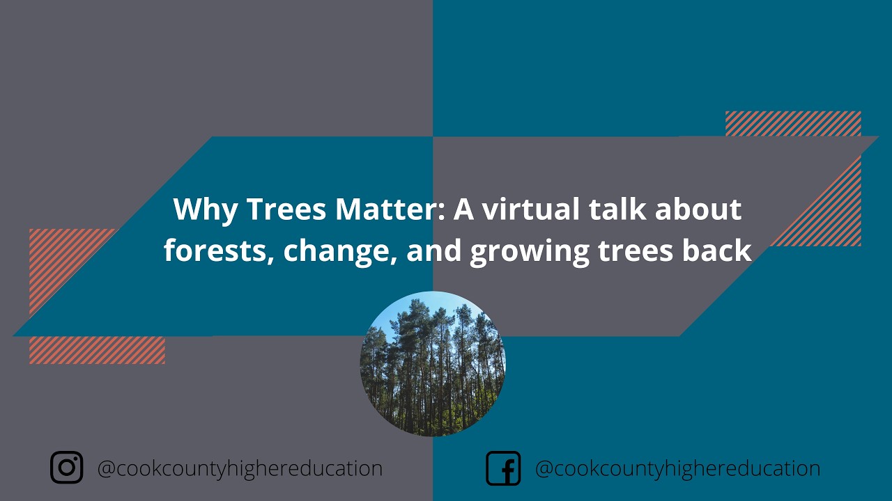 Why Trees Matter: A virtual talk about forests, change, and growing trees back