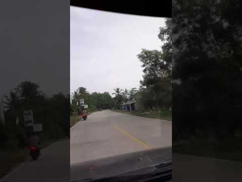 Kejadian dikarya makmur,pasir sakti, lamtim