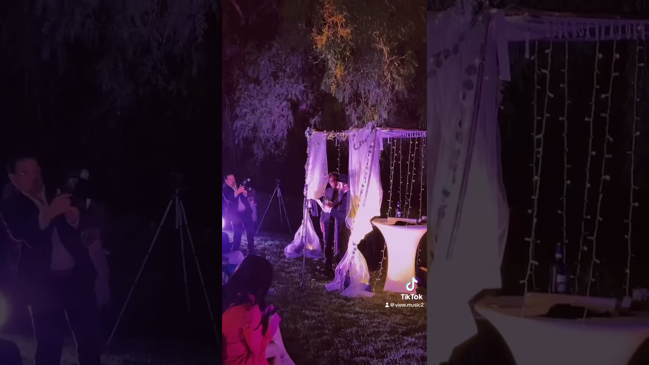 Promotional video thumbnail 2 for View Music