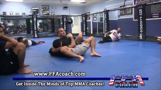Avellan Shows Bas Rutten Neck Crank for BJJ and MMA