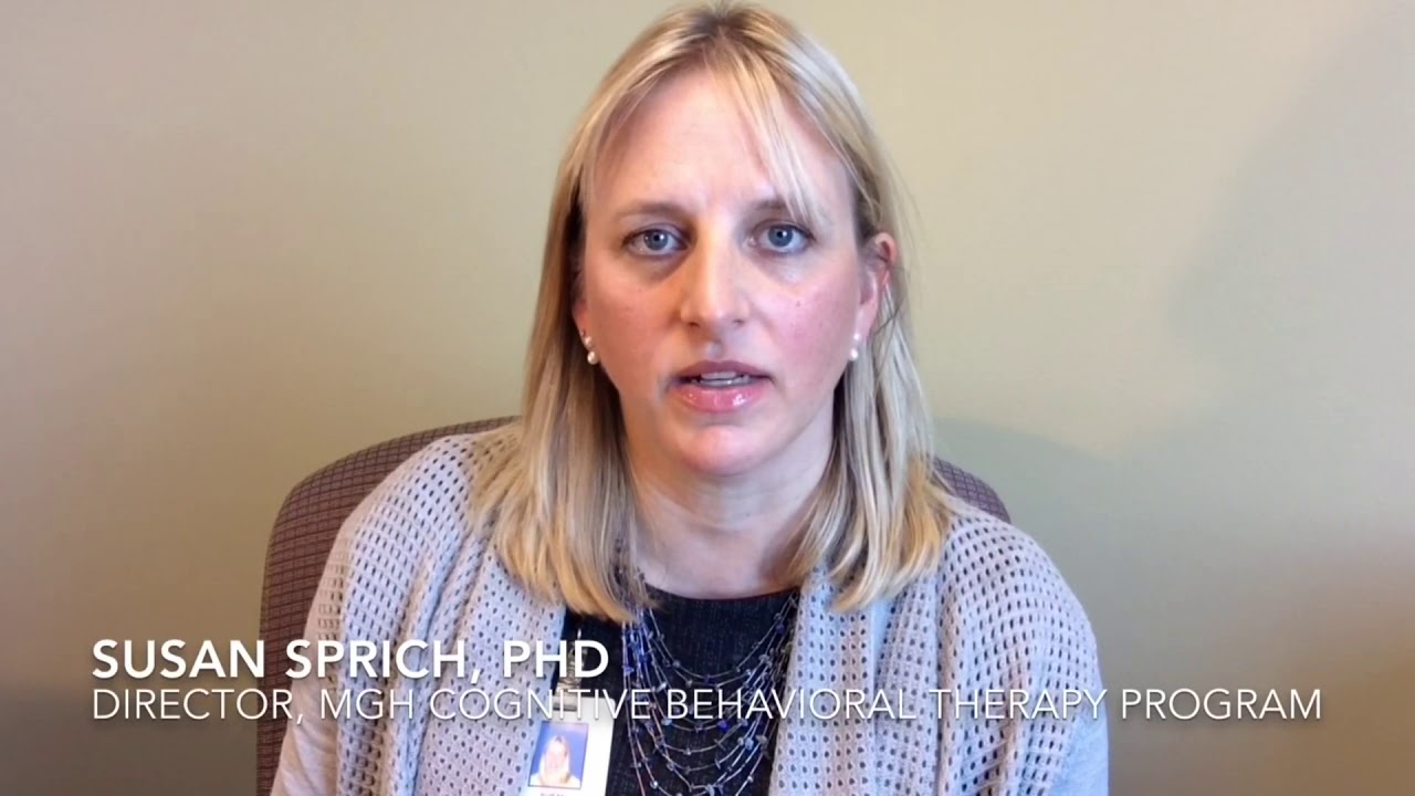 What is the Internet-Based Cognitive Behavioral Therapy Program?