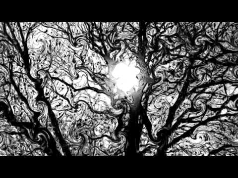 DSI Prophet 08 - "Berlin School" Sequence