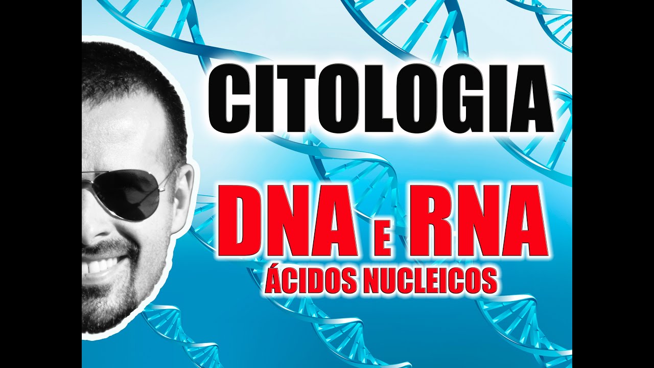 Acidos Nucleicos: Diferenças entre o DNA e o RNA - Citologia - Biologia Celular - VídeoAula 016
