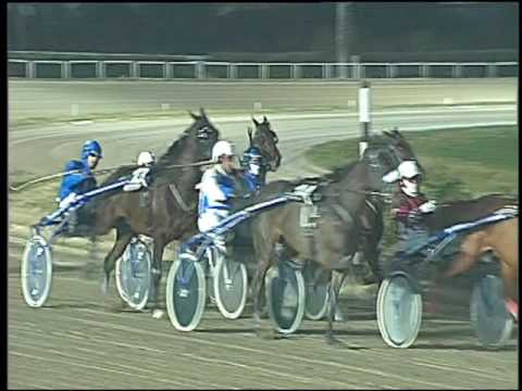 Trotto 30/12/2016 - 7ª corsa