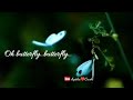 Oh Butterfly Butterfly Yen Virithaai Siragai ஓ பட்டர்பிளை பட்டர்�