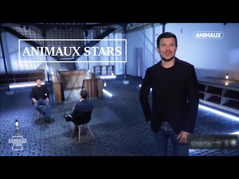 Vincent Niclo - Animaux Stars (05/09/2020)
