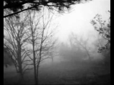 Video thumbnail for Let Your Good Heart Lead You Home