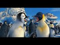 Happy Feet Ending