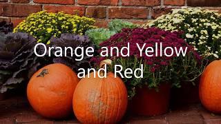Orange and Yellow and Red