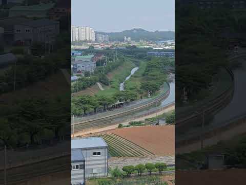 Blazing Sunshine near Seoul
