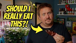 Will this pepper 🌶️ mess me up?