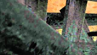 Penumbra Part 25 Wormrun