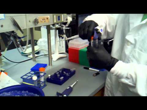isopropanol precipitation   adding 3m sodium acetate and isopropanol