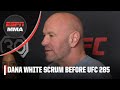 Dana White Pre-UFC 285 Scrum: Jones vs. Gane, Francis Ngannou & TUF with McGregor vs. Chandler