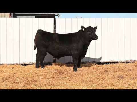 Listing 51768516326-video