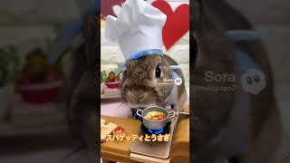 スパゲッティとうさぎ